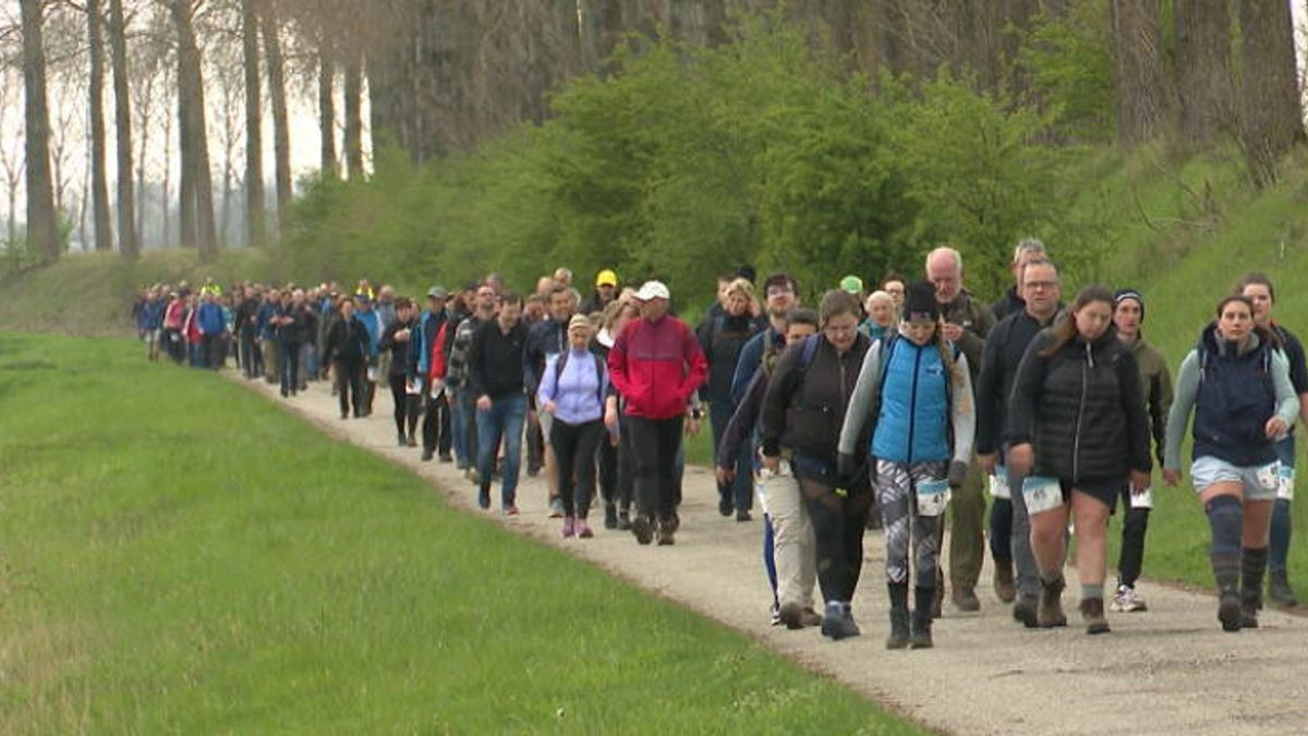 Wandelmarathon-zeeuws-vlaanderen